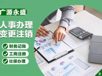 专业代理记账会计 税务优化 人事代理 社保公积金缴纳