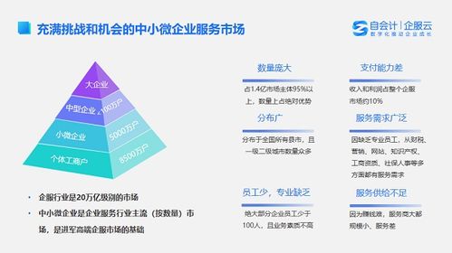 从会计操作到智能运营 代理记账自动化与税务服务的未来