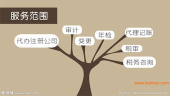 知名的资质审批服务与会计代理记账综合指南