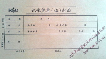 会计公司服务内容详解 专业会计代理记账全方位解析